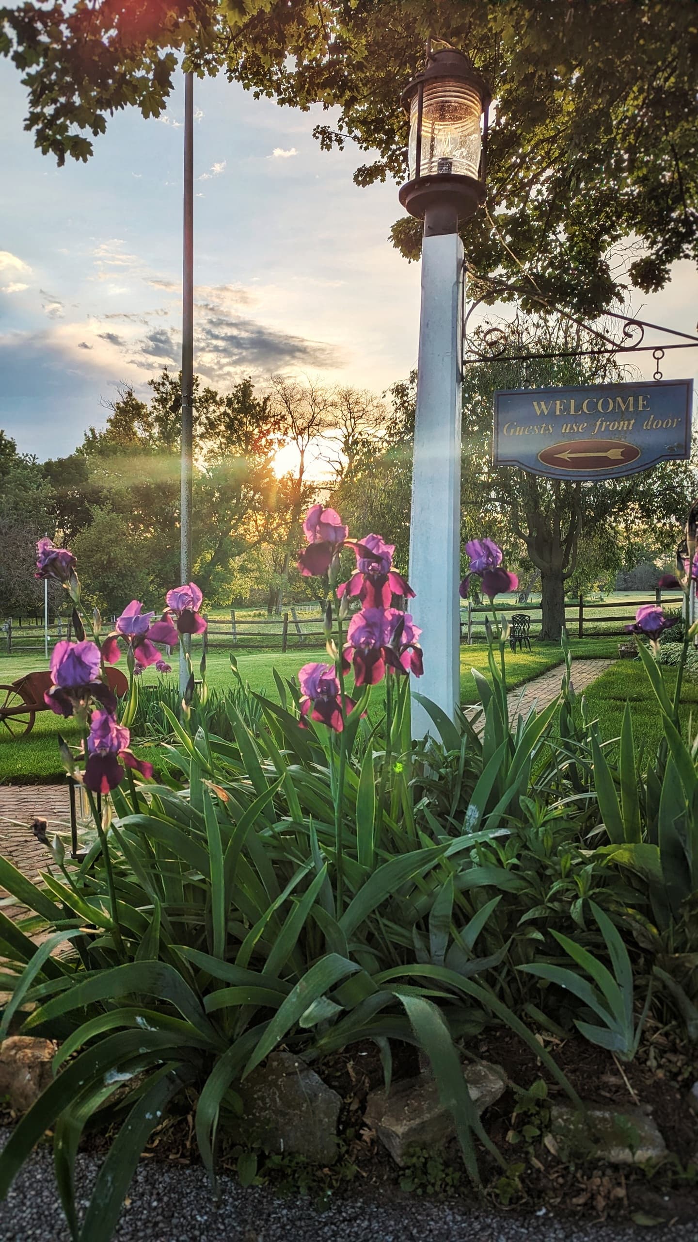 A purple flower garden with a welcoming sign and a sunset in the background.